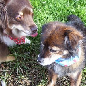 Meet your Posher, Jeanne